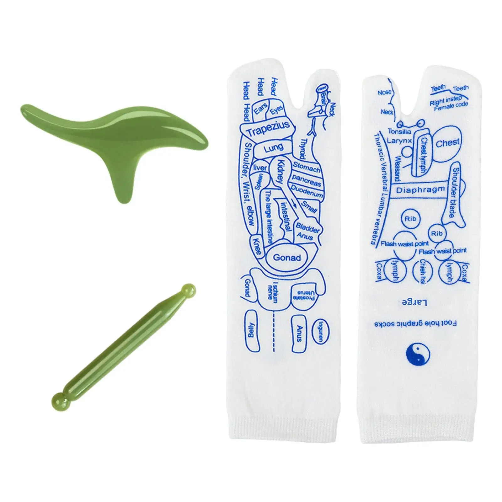 Рефлексотерапевтическая область отражения носков с точечной ручкой и