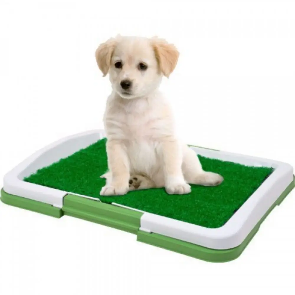 

Dog Toilet Training Kit