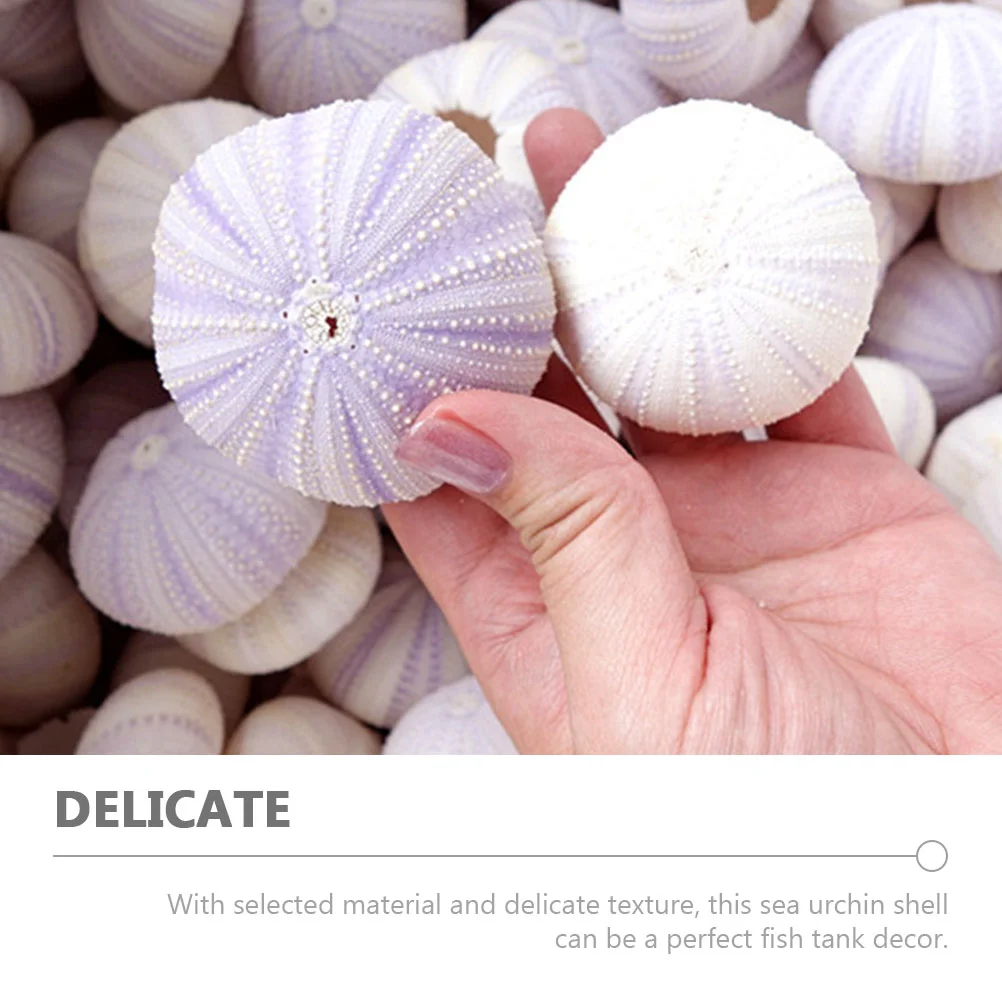 6 шт. натуральная раковина горшок для еждя ракушки ручной орнамент декор