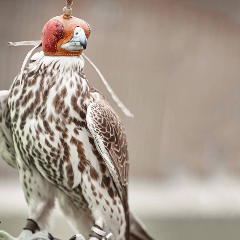 

Тренировочная шапка Falconry с капюшоном в виде орла, маска в форме Сокола, защитный шлем Nisus Accipiter Virgatus Affinis eurasia Kestrel