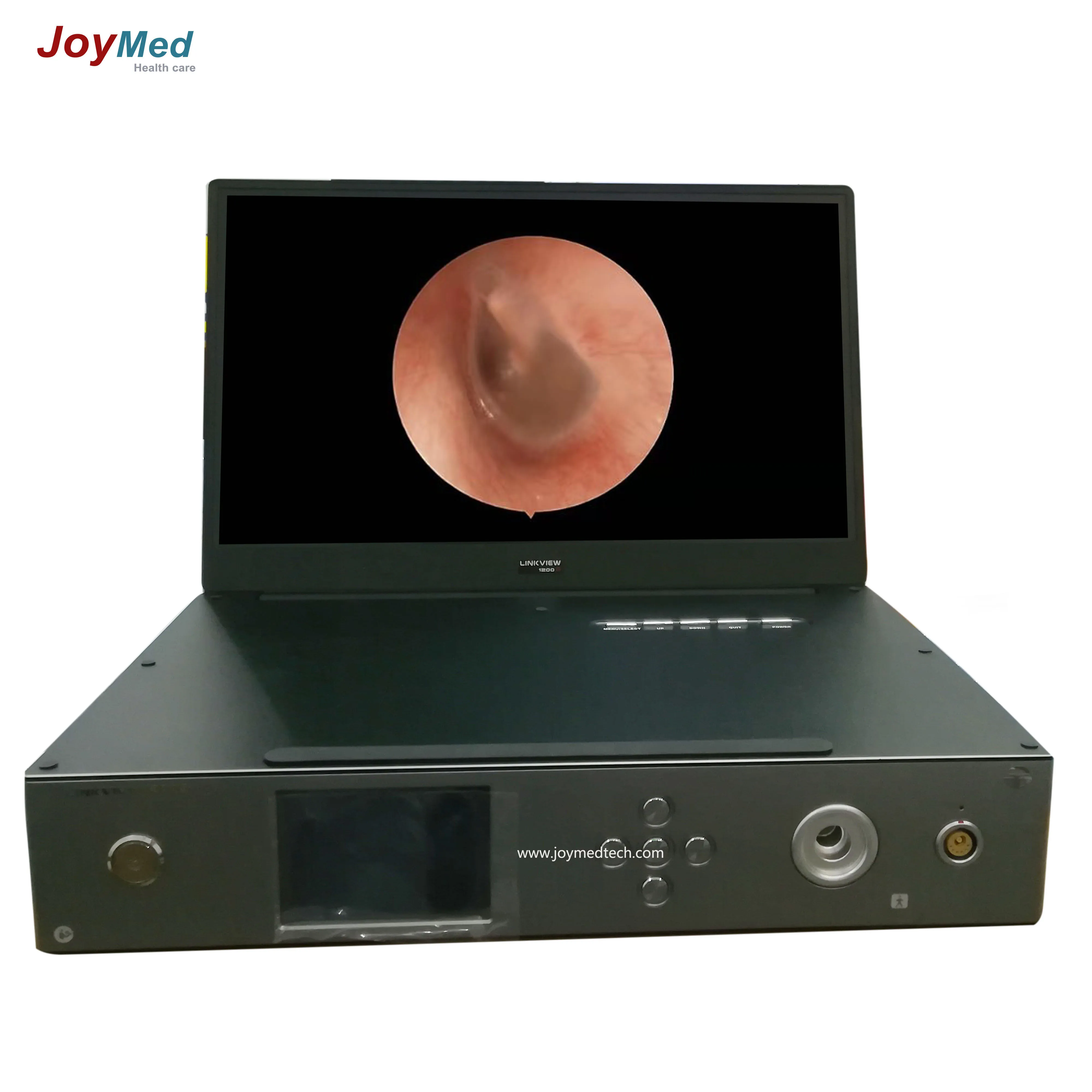 

portable HD ENT endoscope camera with 15inch display USB for windows with led light source