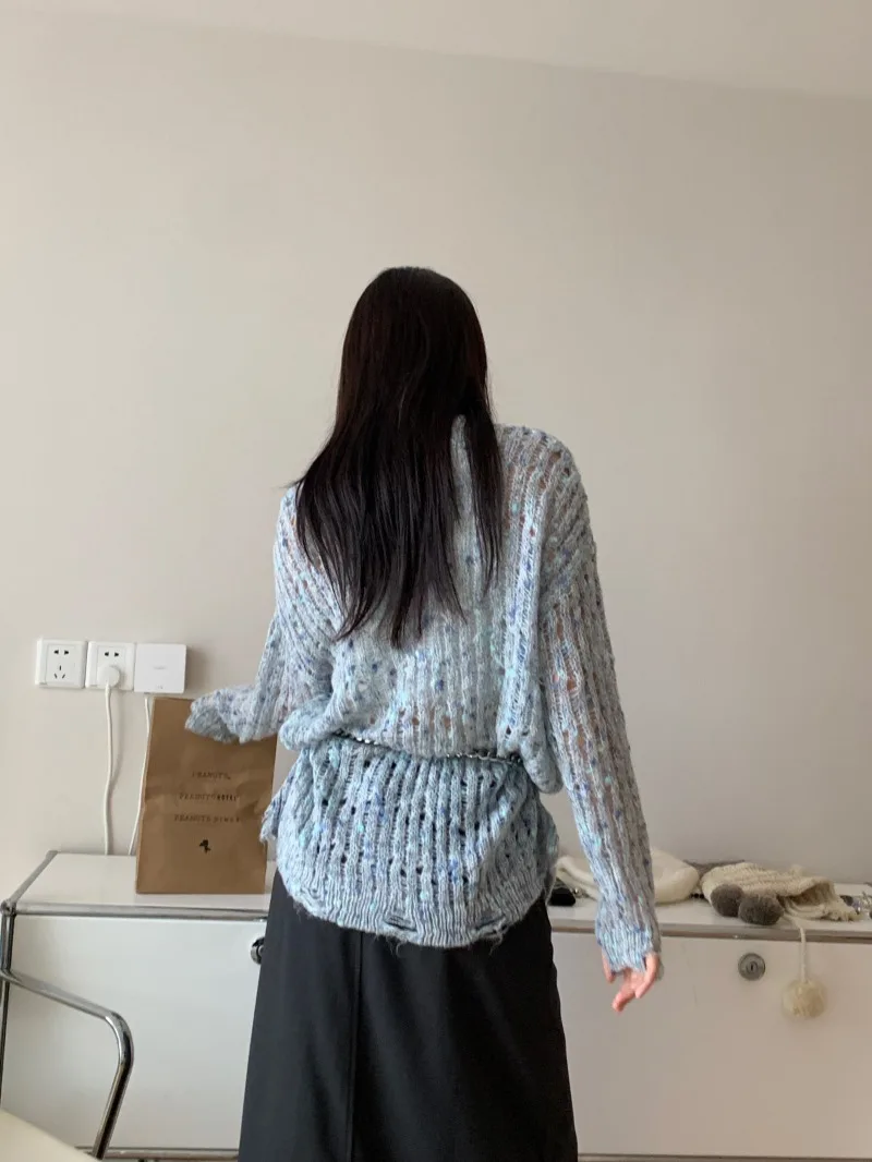 Женский Повседневный Топ с круглым вырезом длинным рукавом