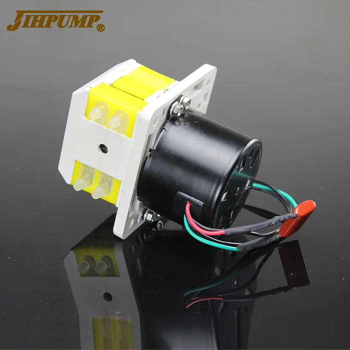 JIHPUMP 110v 220v DC 12v 24v маленький мини микро OEM перистальтический насос двухканальный 2