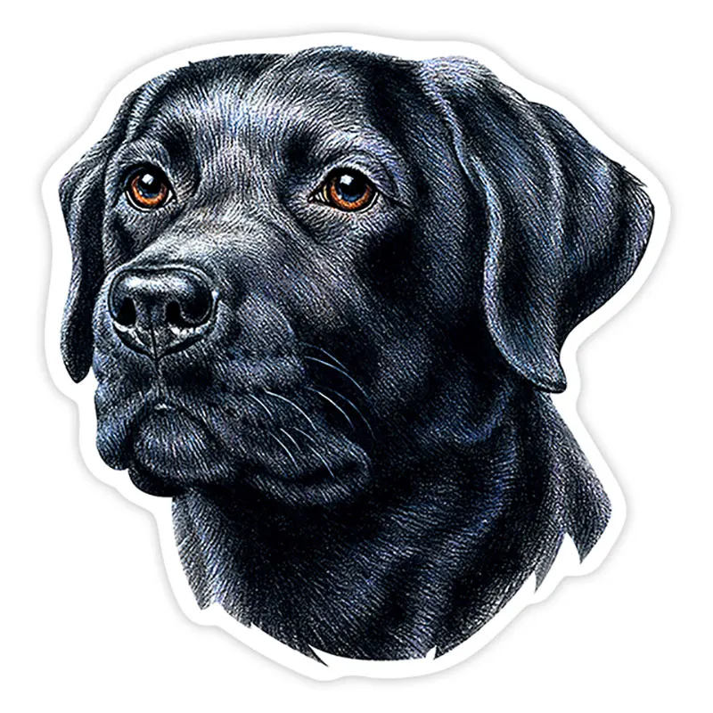 

Fashion Various Sizes Self-adhesive Decal Labrador Retriever Black Car Sticker Waterproof Auto Decors on Bumper Rear Window