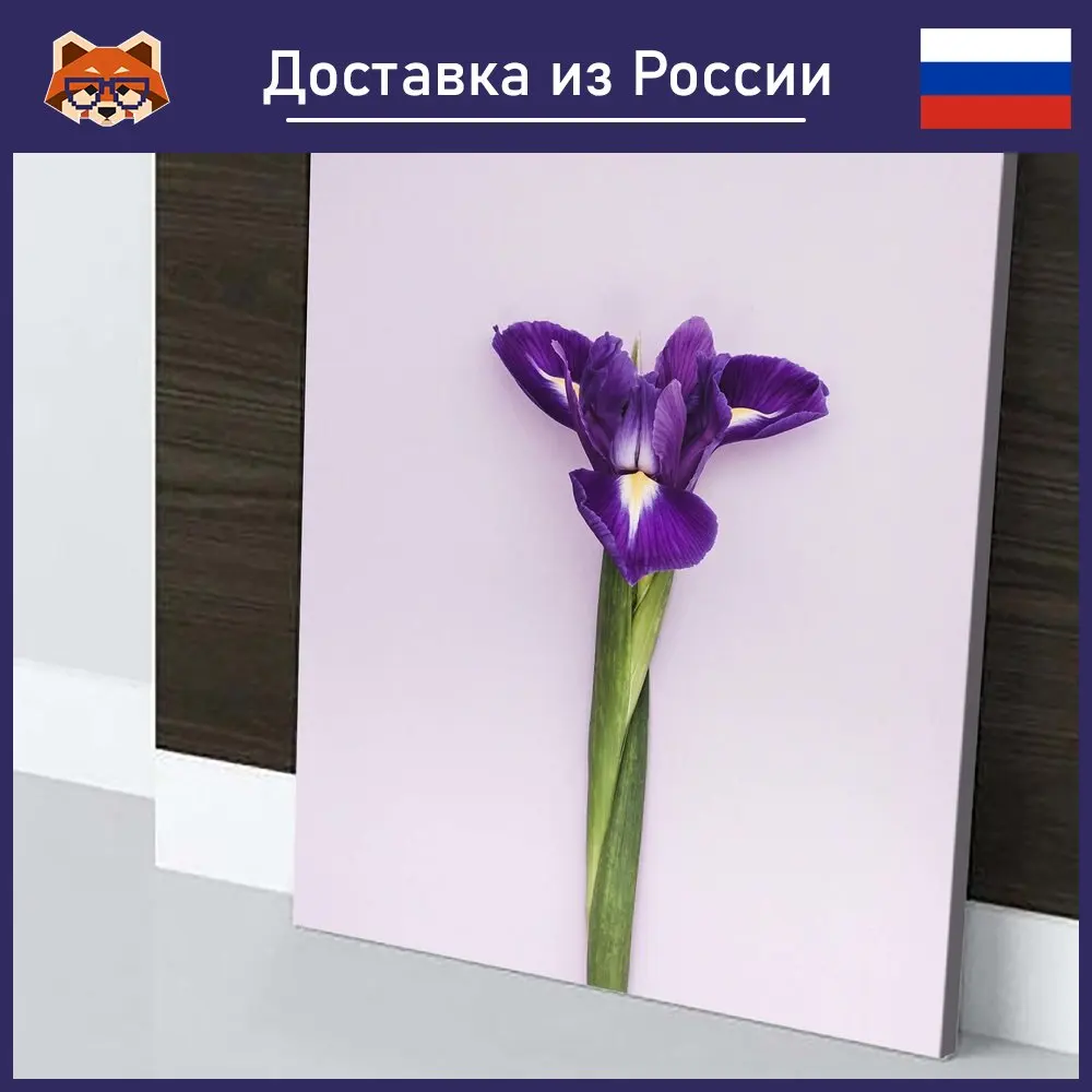 Картина Ирис красочная на холсте современный домашний декор комнаты | Дом и сад