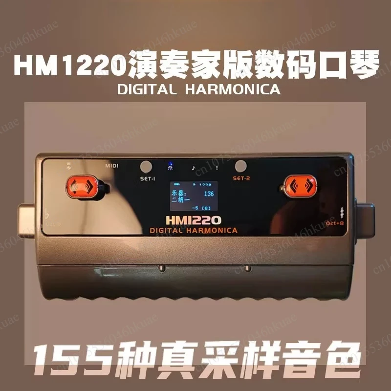 Фото Цифровая электрическая гармоника 08S/1220S, 155 тонов, MIDI-инструмент для сцены №3