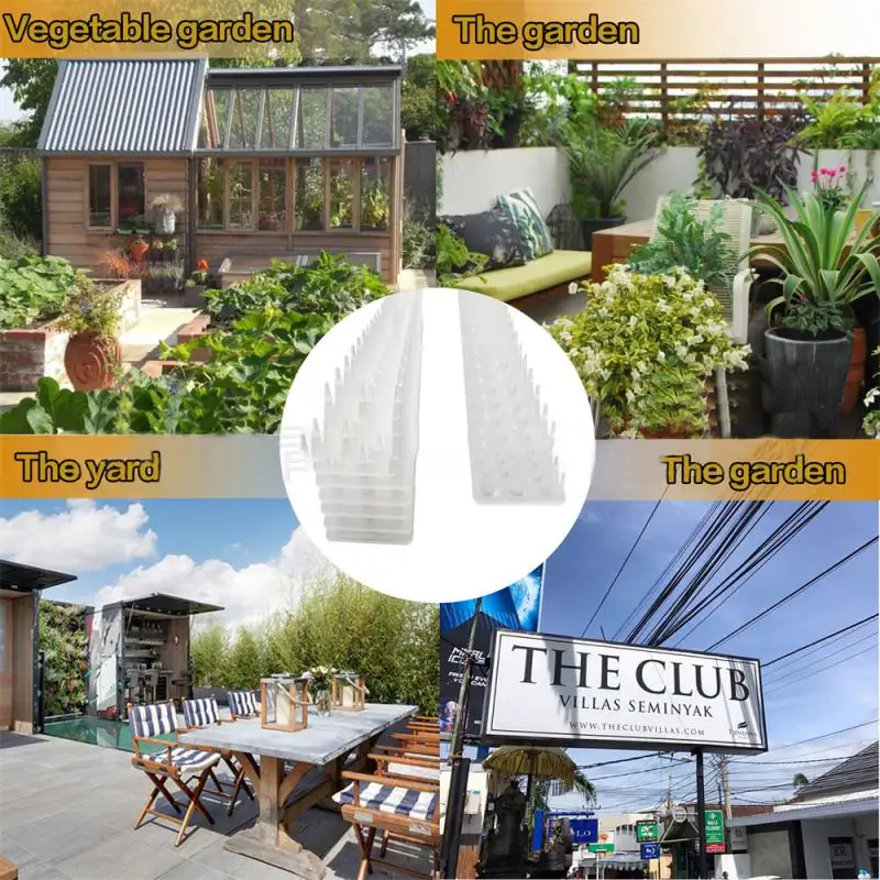 Птичий стеб противоугонные садовые принадлежности шипы острые практичные