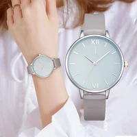 fashion famous watch personality simple and versatile waterproof ladies watch quartz watch