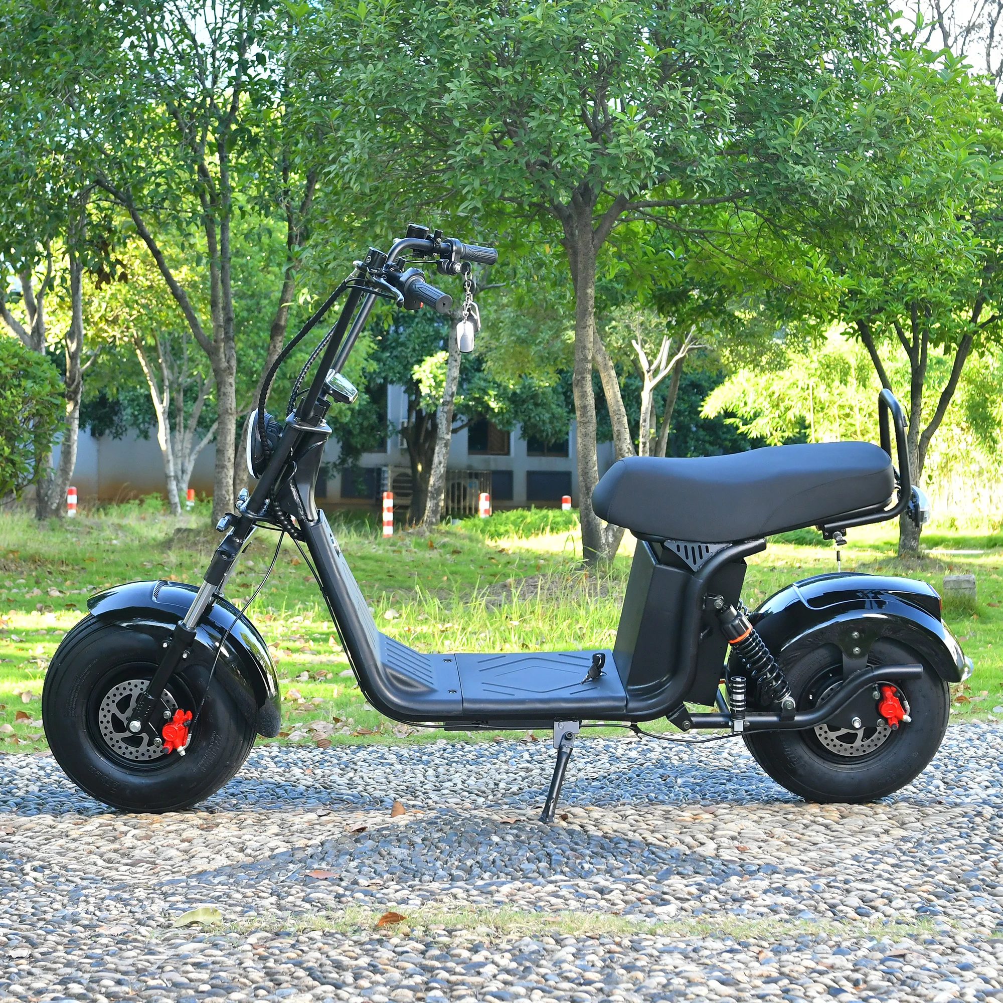 Рисунок 6 - Электрический скутер Citycoco 18