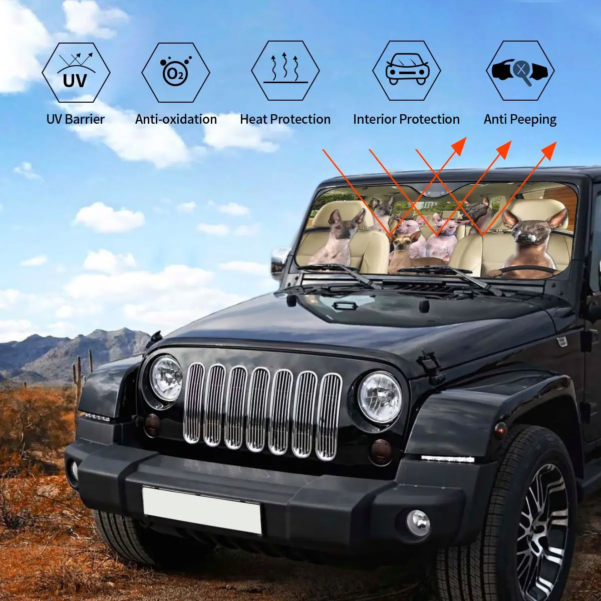 Рисунок 3 - Забавный солнцезащитный козырек для водителя собак