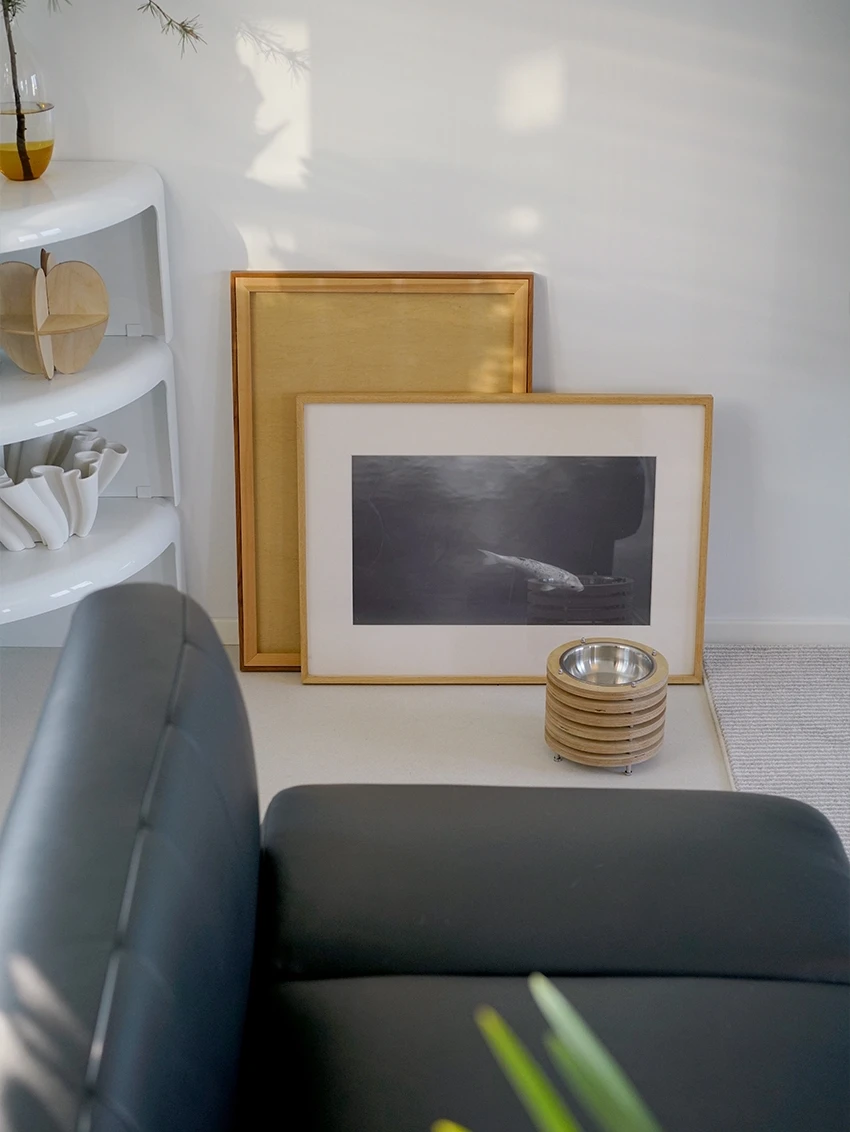 Противоскользящая и противоскользящая раковина для кошек собак защиты шеи еды