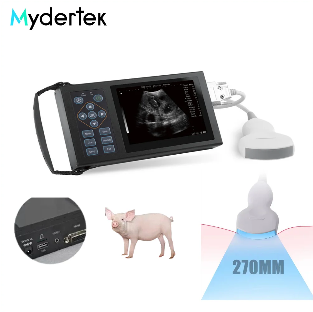 

MTA10 Vet Animal Use ultrasound equipment Veterinary full digital ultrasonic diagnostic instrument