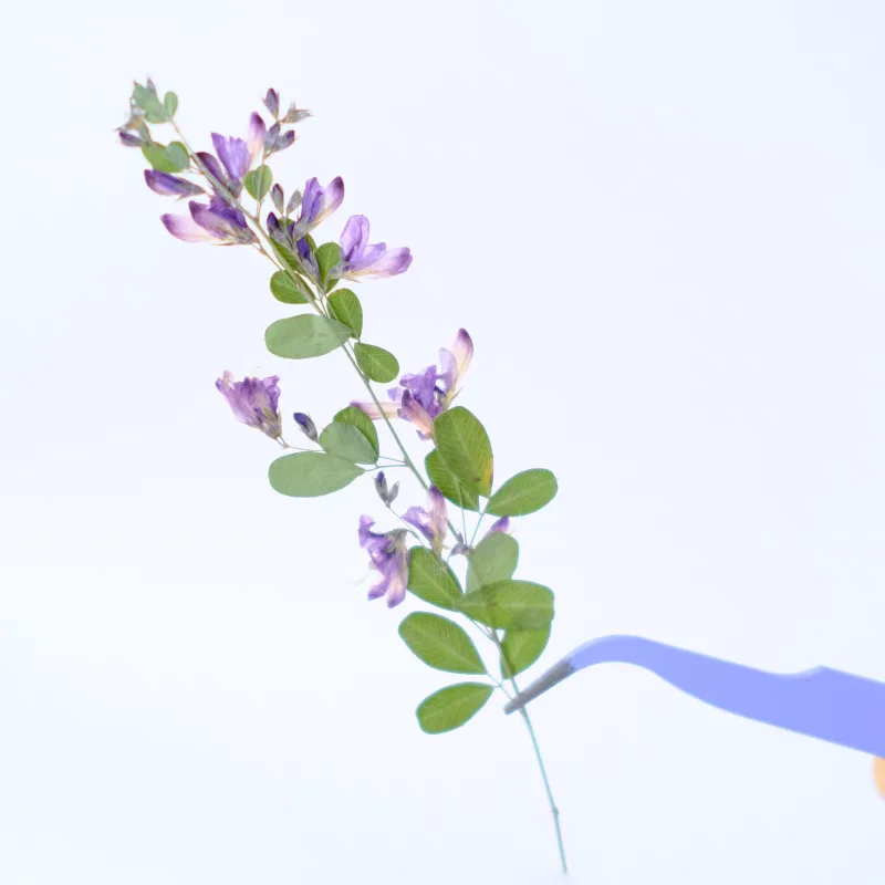 100 шт. двухцветные закладки для фотографий