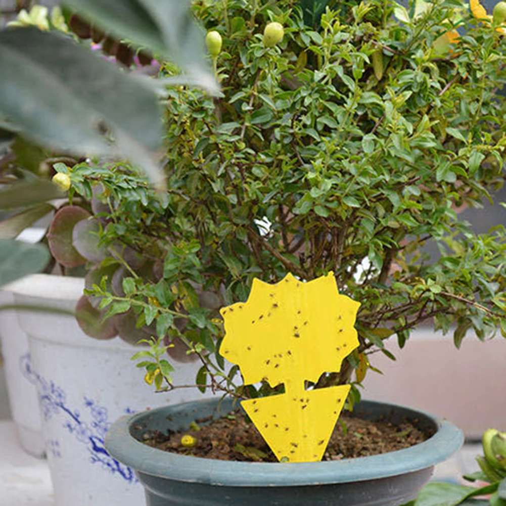 12/24/48 шт. липкие ловушки для насекомых |