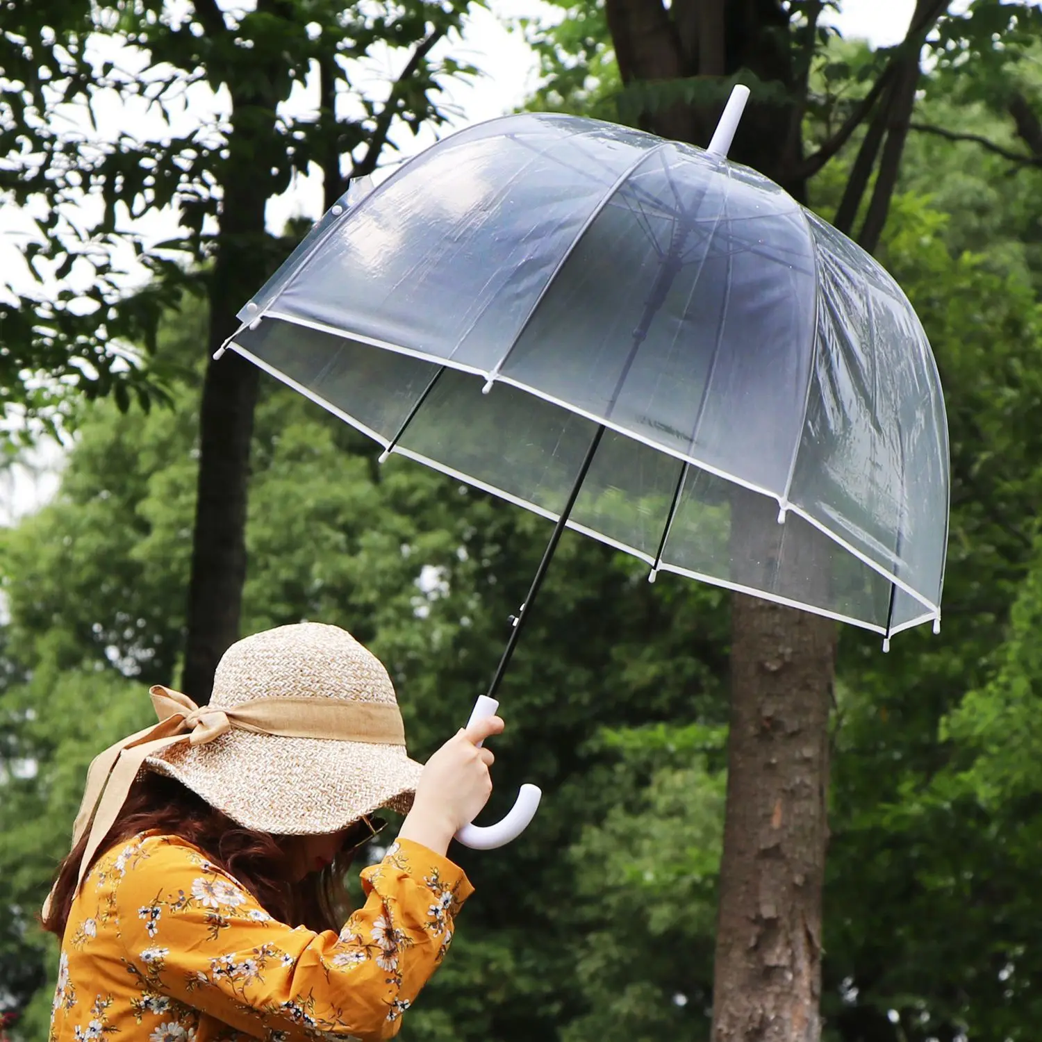 

Fashion transparent umbrella European style plastic advertising umbrella Apollo arch birdcage umbrella