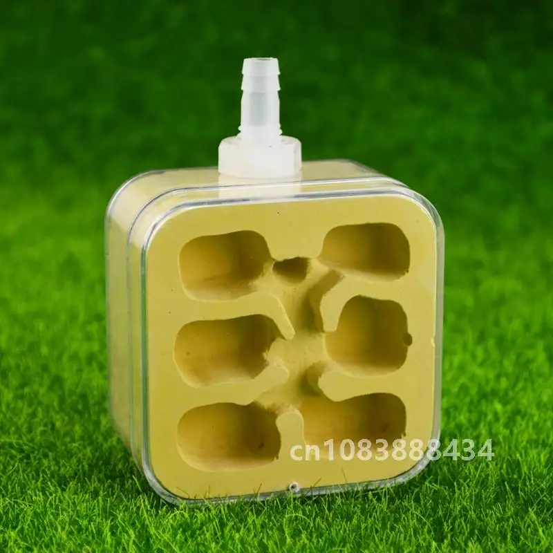 Имитация муравьев экологическое гнездо маленький самолет внешнее гипсовое