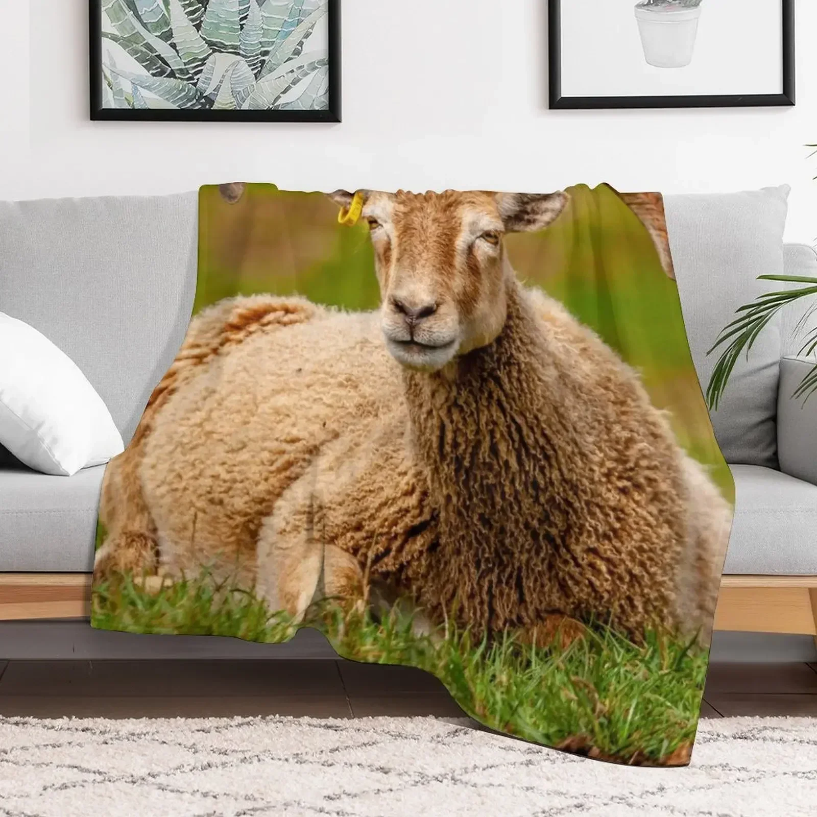 Одеяло Soay Sheep одеяла для диванов