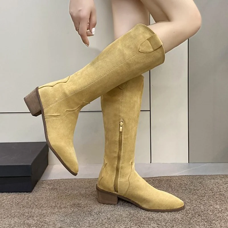 Women's Boots Summer Thin Brown Thick Heel Pointed Toe Retro British Style High Knight Boots Botas Mujer Thigh High Boots 2023