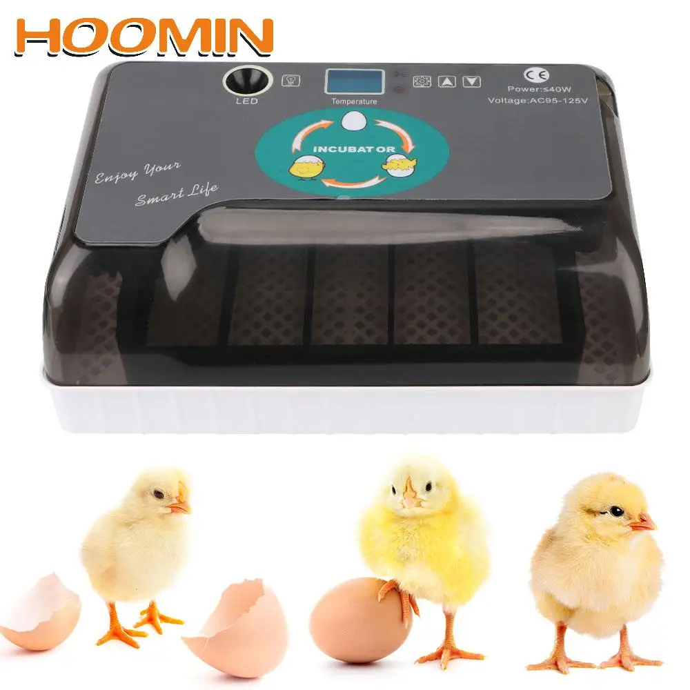 

HOOMIN 4-35 инкубатор для яиц, инкубатор для курицы, перепелов, автоматический инкубатор для яиц, низкая цена, товары для домашних животных