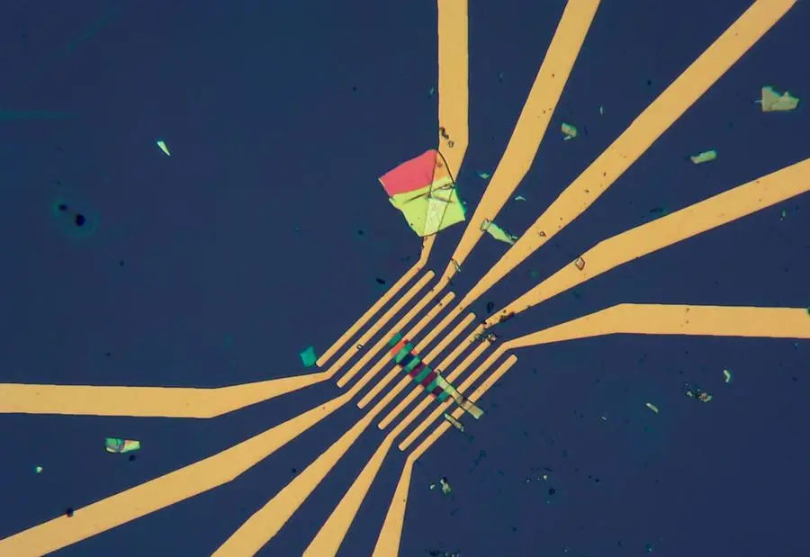 

Black Phosphorus ReSe2 Heterojunction Devices, BP/ReSe2