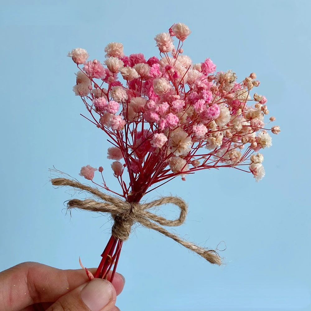 

5pcs Mini Bouquets for Gift Box Accessories ,Holiday Keepsakes Dried Flower Bouquets ,Party Supplies Floral Decorations