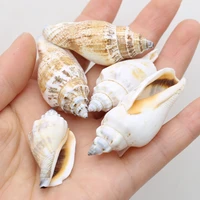 100g natural shell conch charms craft no hole jewelry making necklace diy accessry fish tank aquarium ornaments home decoration