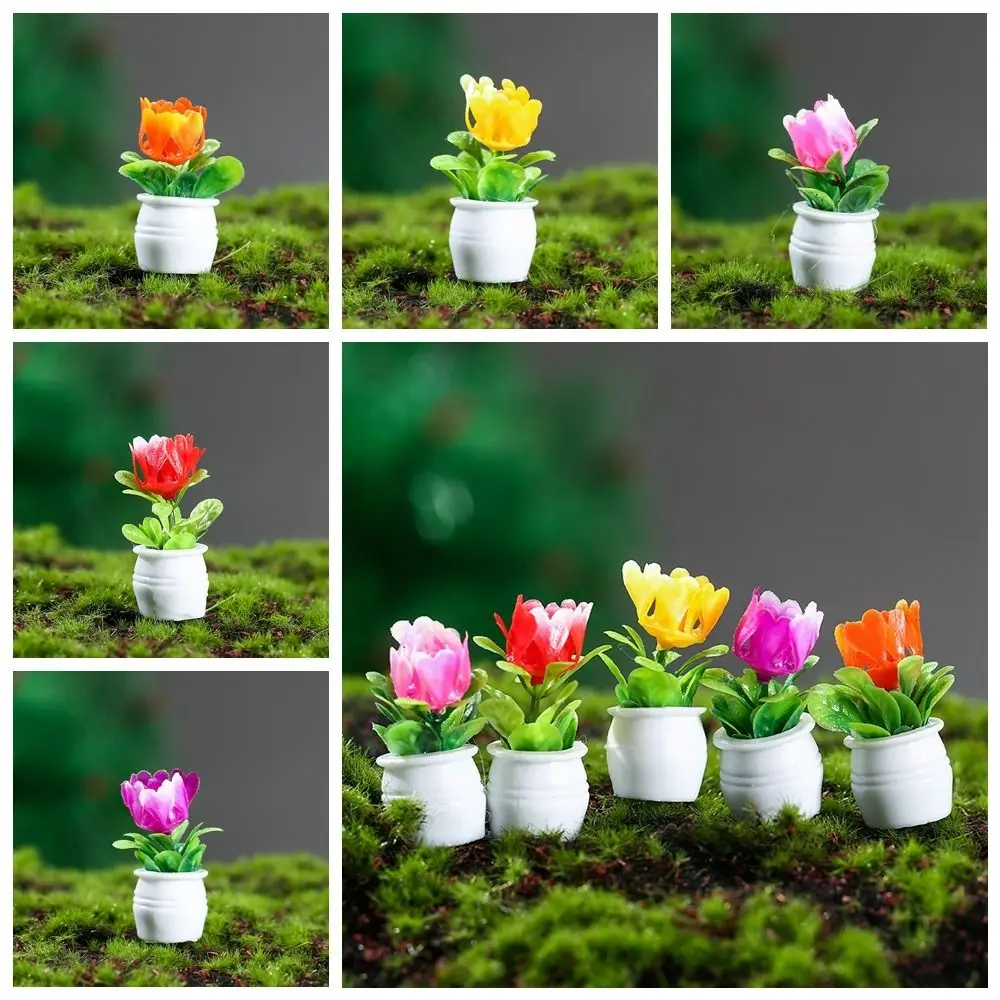 

High Imitation Mini Plant Model Not Easy Get Dusty Simulation Cactus Plant Potted for Desktop Garden Home Decor Micro Landscape
