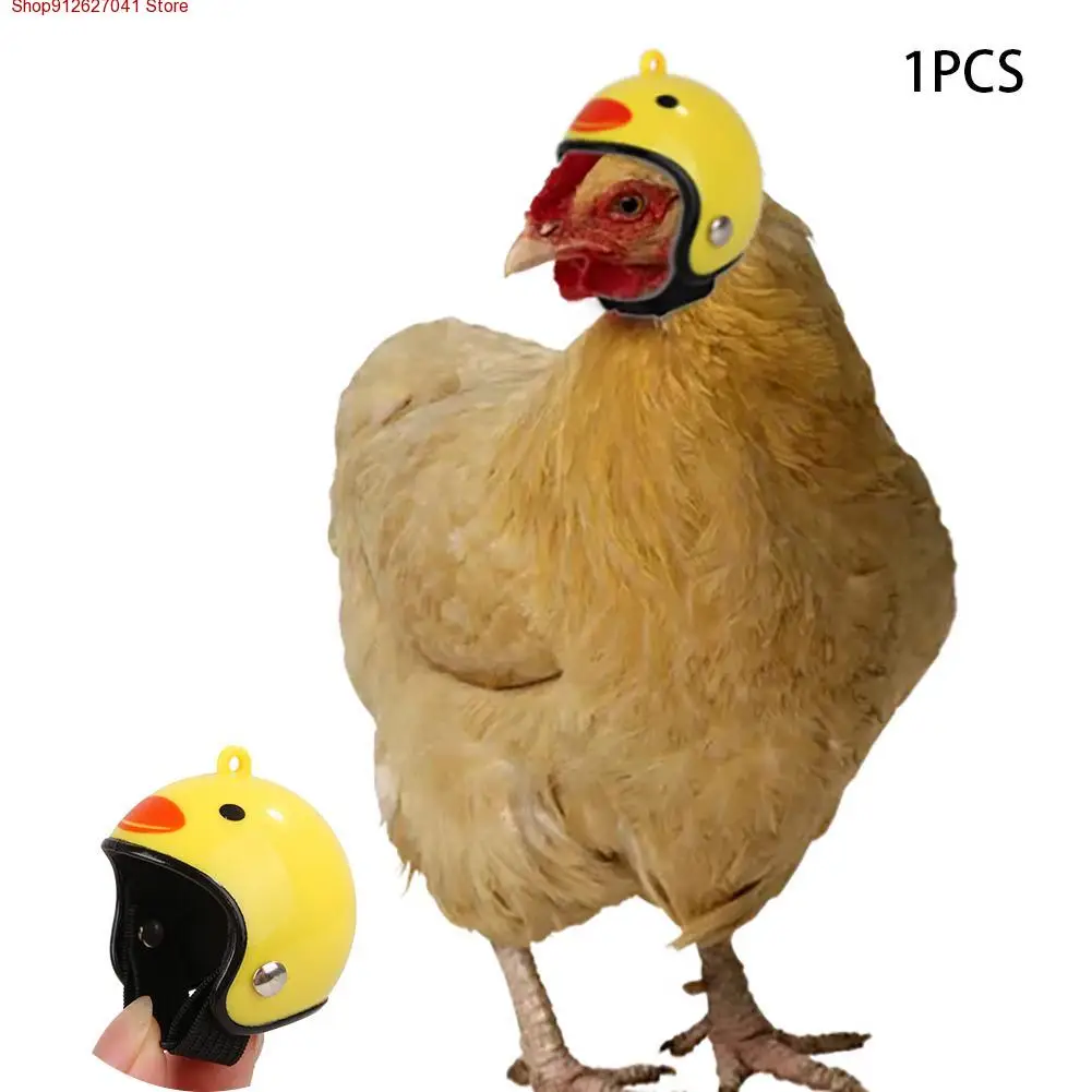 

Chicken Helmet Small Pet Hard Hat Bird Hat Headgear Pet Chicken Helmet Protect The Chicken's Head Helmet Rooster decoration