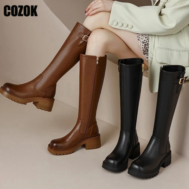 

Thick Heels Women Platform Non Slip Knee High Boots 2023 New Ladies Zipper Pumps Buckle Female Shoes Casual Vintage Solid Knight