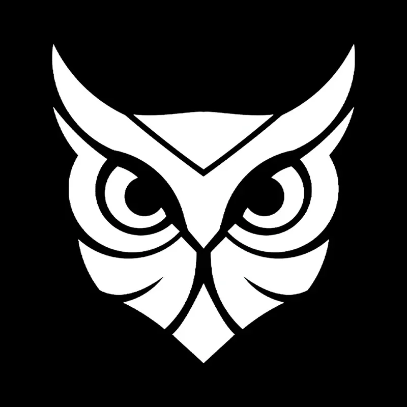 Автомобильная наклейка с изображением совы Оригинальная виниловая декоративная