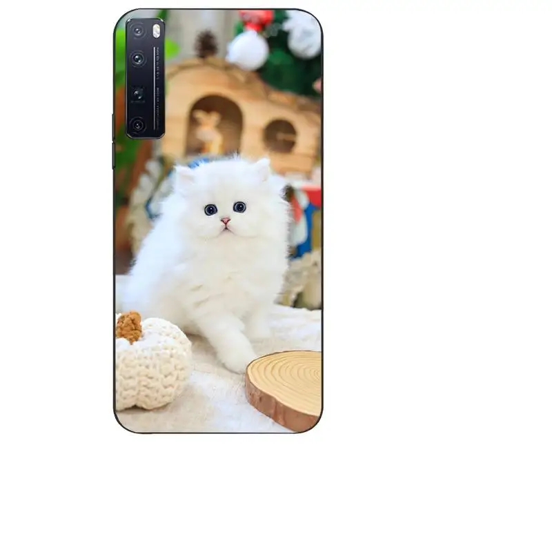 Panda Astronaut Planet Space Phone Funda For Redmi Note 11 10 9 8 6 Pro 10T 9S 8T 7 5A 5 4 Coque Shockproof Cover Shell |