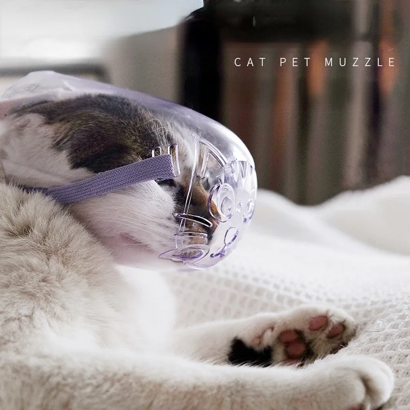 

Прозрачный головной убор для кошек и кошек, защита от укусов, котят, маска для купания, уход за кошкой, аксессуары для кошек