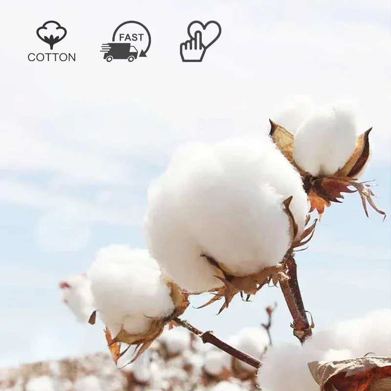 Женские носки хлопковые оптовые с мультяшным медведем вишневым цветком и