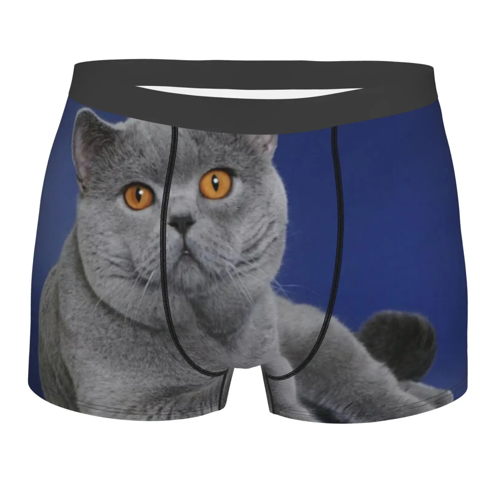 

Chartreux 445 Men's Panties Briefs Underwear Men Men's Panties For Gay Long Leg Men Long Polyester Woman Pajamas Teen Boy Pink