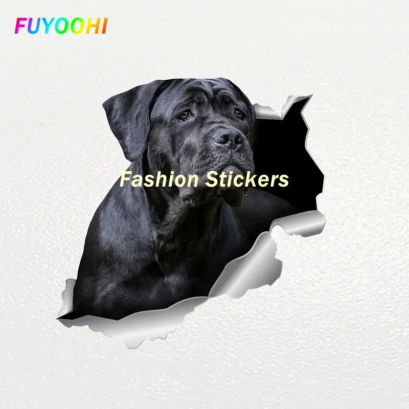 

Наклейки FUYOOHI, тростник, собака, Корсо, животное, водонепроницаемая виниловая наклейка, автомобильные аксессуары, Декор, наклейка на машину