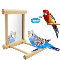 bird mirror with perch wooden hummingbird swing toy parakeet accessories for cockatiels conure finch lovebird canary grey macaw