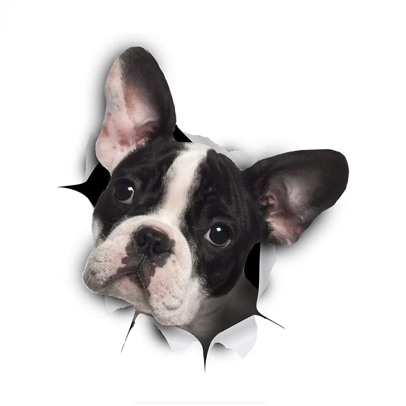 3D наклейка Three Ratels FC57 с собакой черная белая французский бульдог на бампер окно