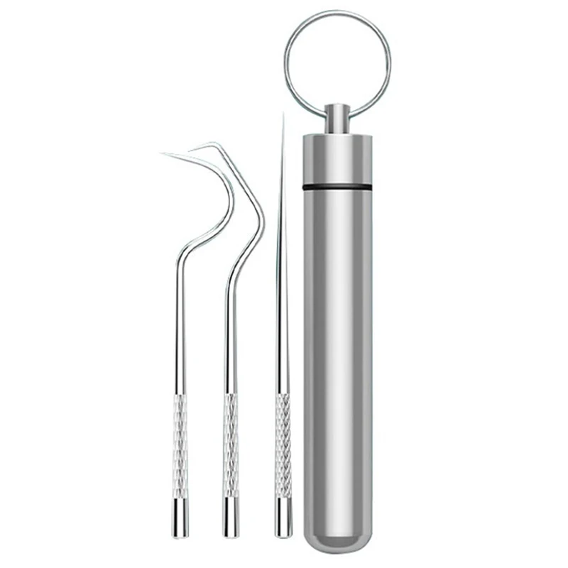 

4Pcs/Set Stainless Steel Toothpick Set Metal Flossing Tool With Portable Toothpick Holder Outdoor Household Travel Seal Storage