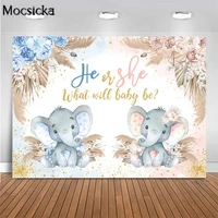 mocsicka gender reveal party photography backdrop elephant he or she boho flower pampas grass baby shower photo background decor