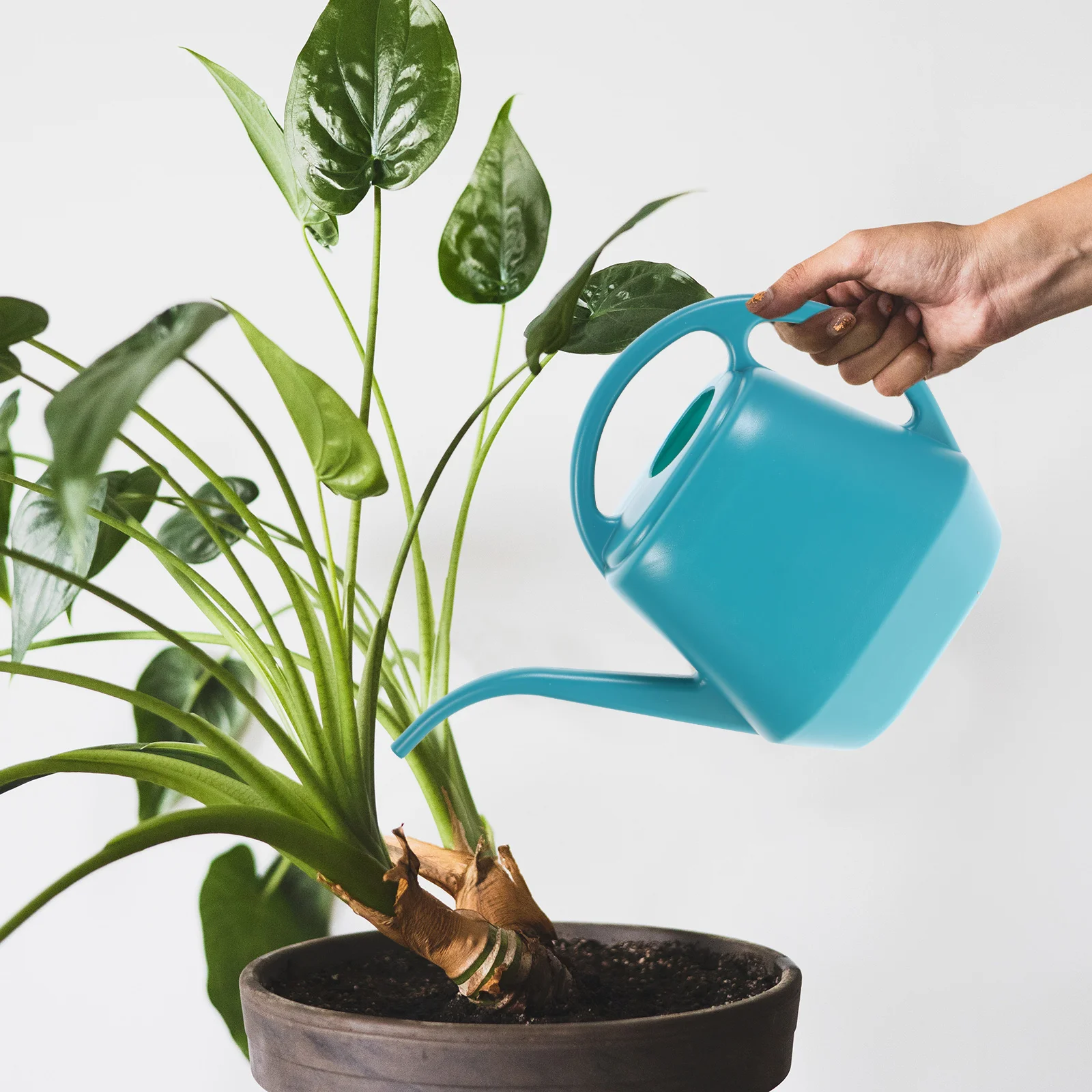 

Watering Can Pot Gardenflowerindoorlong Water Outdoorkettle Bottle Spout Large Gardening Supply Capacityclassicmister Sprinkler