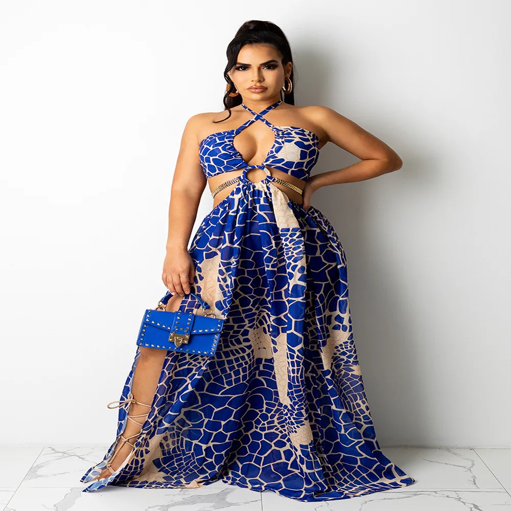 

2022 Cross Border Print Sexy Neck Open Back Long Dress Women