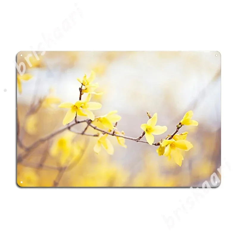 Желтые цветочные фотографии Форсития весенние природные художественные