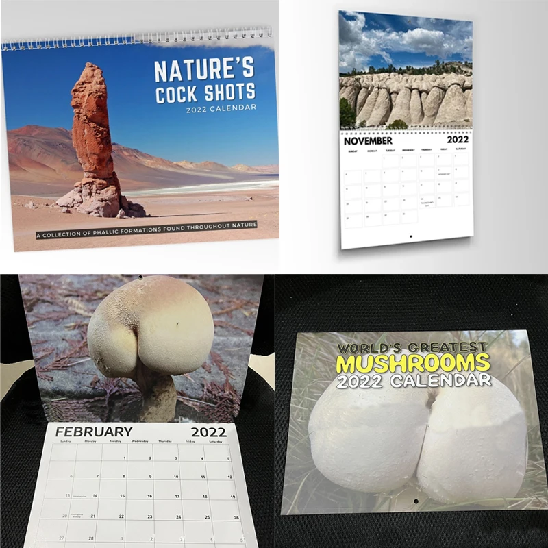 

Забавный креативный подарок в новогоднем стиле, календарь 2022 дней, день 365