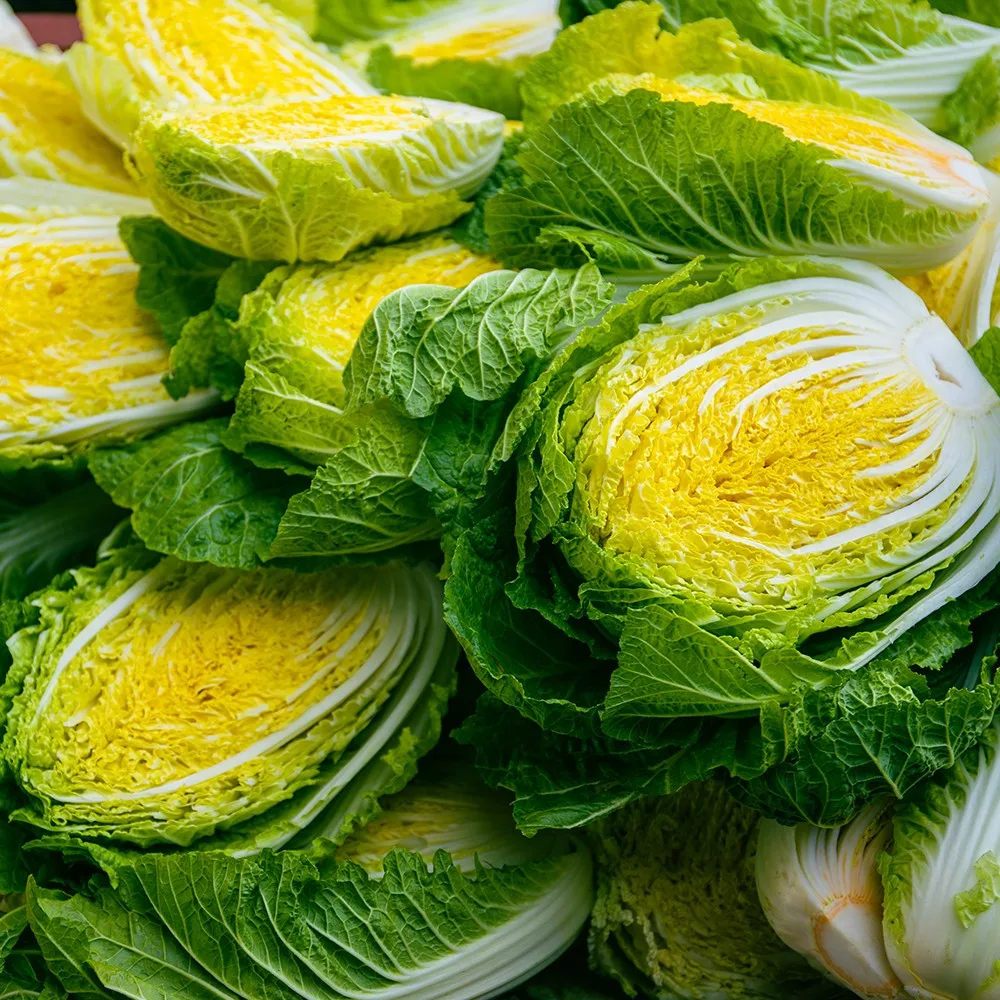 [Brich] магазин Pany/домашняя высококлассная маринованная капуста ...