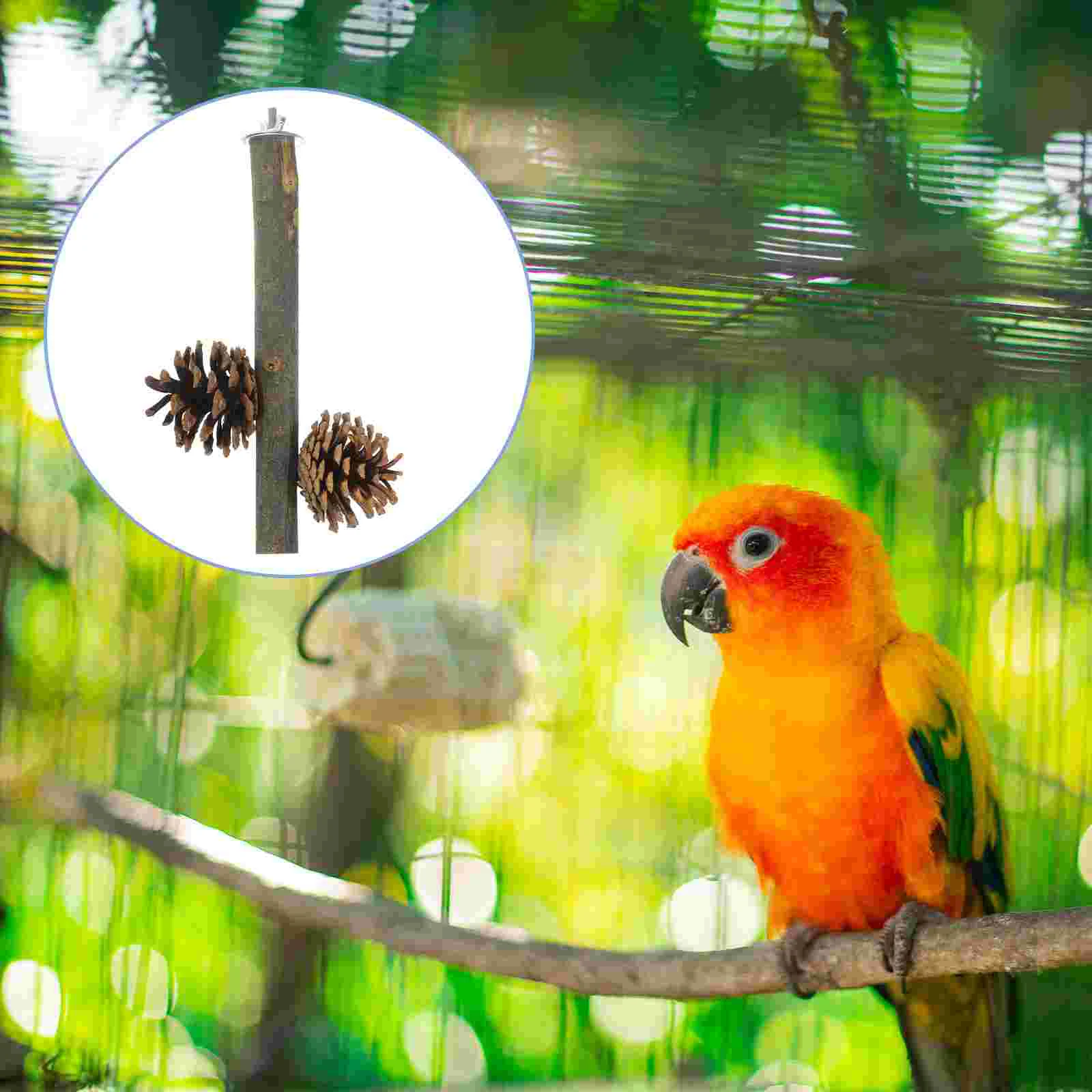 

Grinding Stick Bird Wooden Toys Cage Accessories Parakeet Perch Perches Parakeets