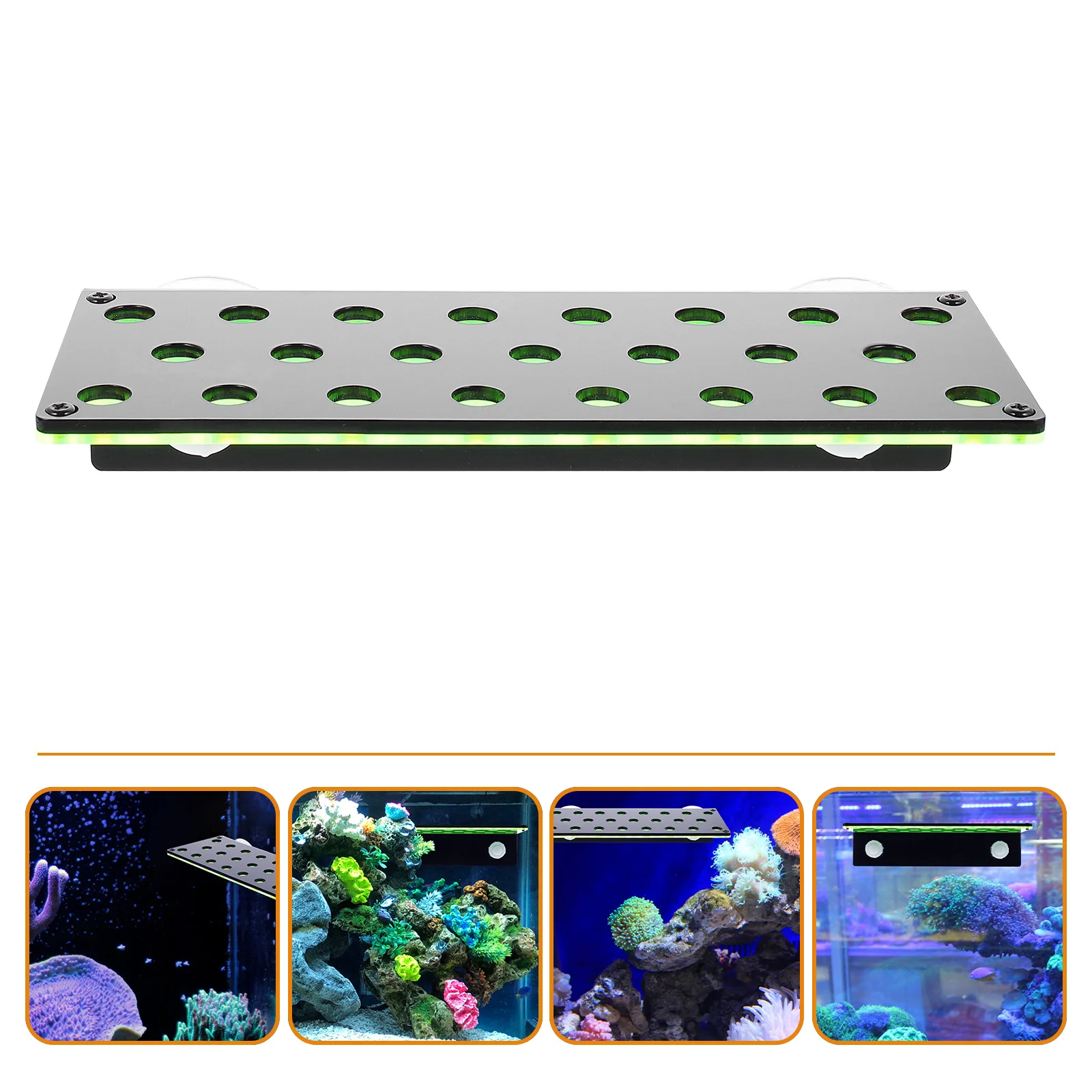 

Frag Coral Rack Holder Aquarium Bracket Tank Acrylic Fish Fluorescent Plug Glowing Racks Reefing Supportcorner Base Breeding