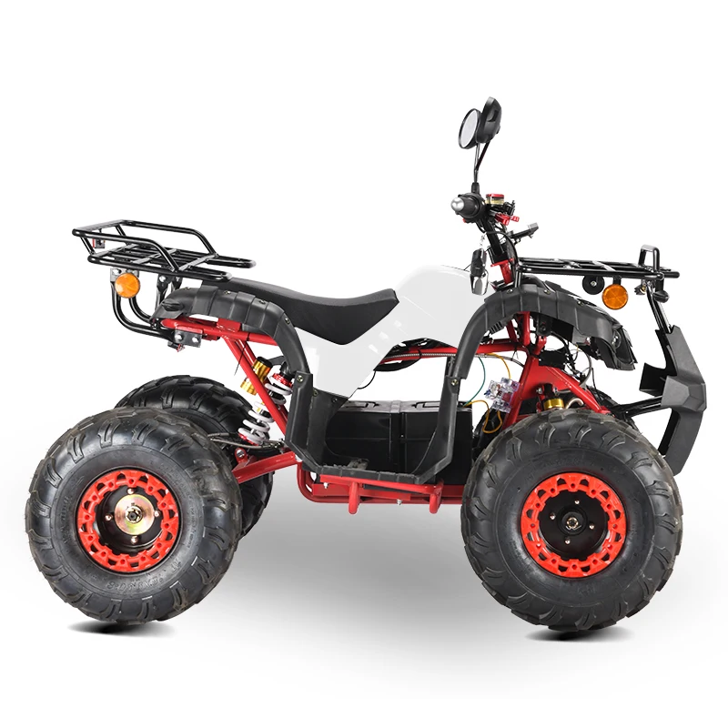 Фото Электрический мотоцикл-квадроцикл Rs Eec Coc 2000W 3000W, недорогой, в продаже №3