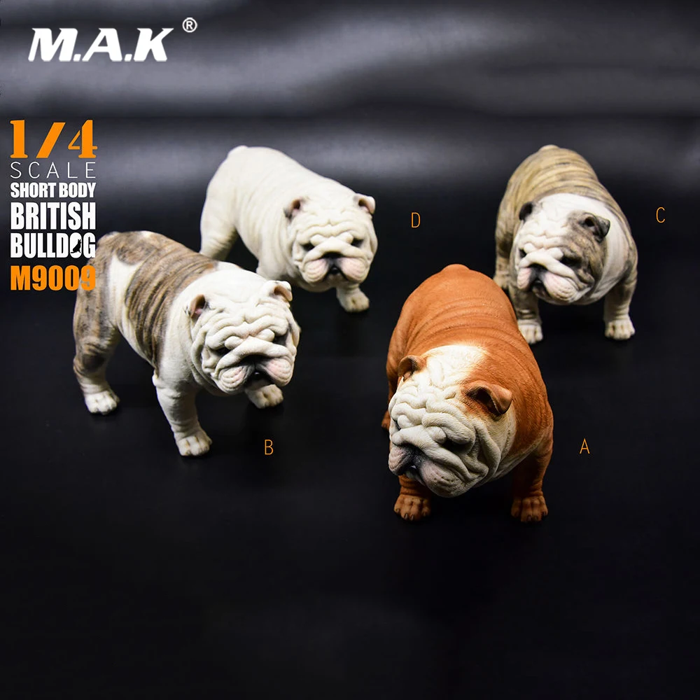 

1:4 Short Body Exaggerated British Bulldog Resin Statue M-9009 Model 4 Colors for 18" Collectible Action Figure Scene Accessory