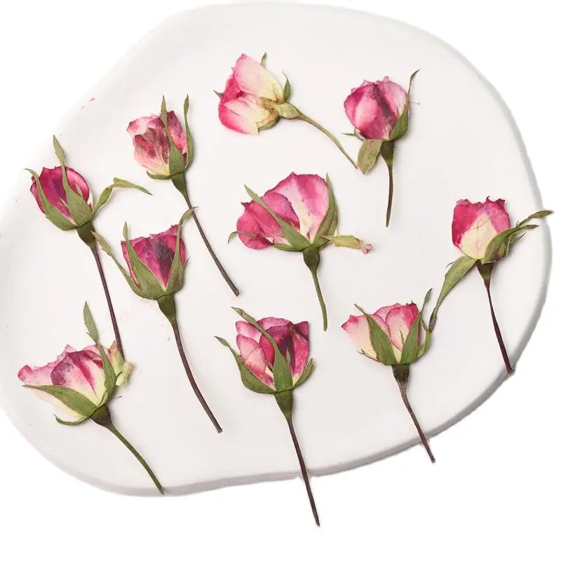 

Original Red Dried Rose Petals On Stems Crafts For DIY Cell Phone Case 60 Pcs Free Shipment