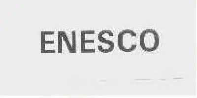 Enesco Brand Logo